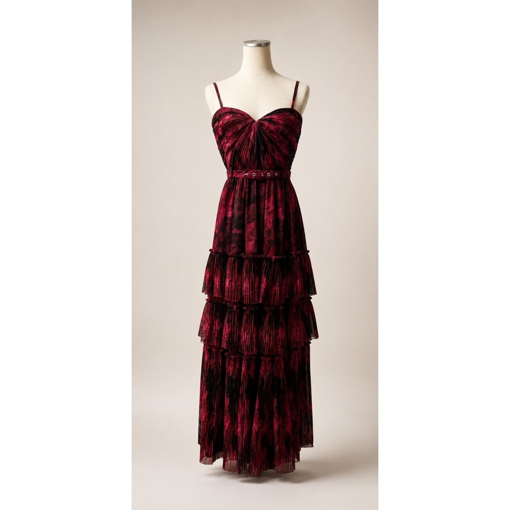Hutch Madelina Pleated Tulle Tiered Maxi Dress Size 6 $398 NWT - Picture 5 of 10